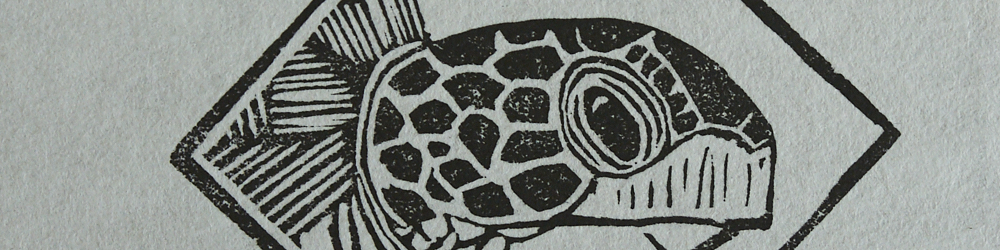 A cropped view of the side of a sea turtle's face